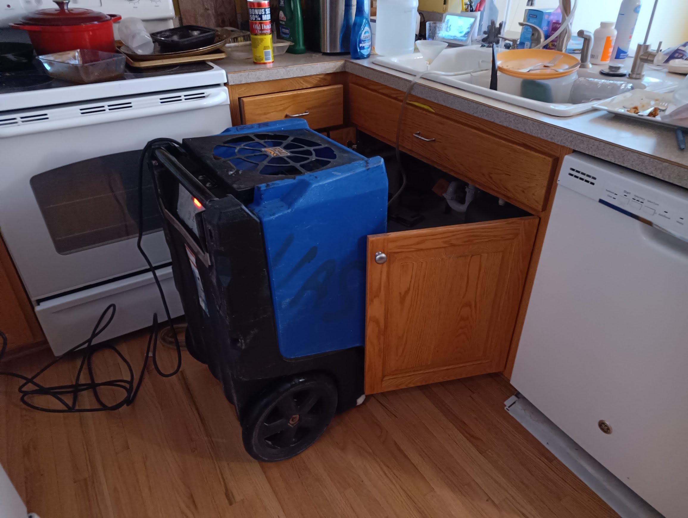 IMG_20251210_085059_702 The Benefits of Siding Replacement